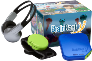 BrainBeat system components